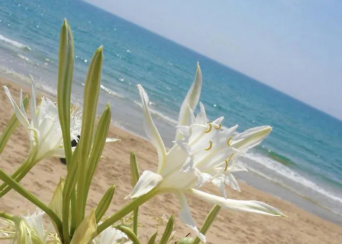 B&B Capo Rizzuto Armenes 民宿 *